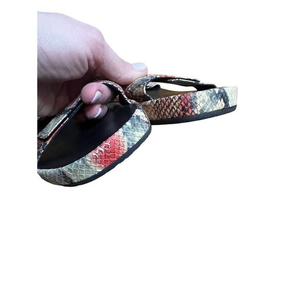 Thierry Rabotin Uno Python Snake Sandals Sz. 39 (US 8.5) - Picture 8 of 13